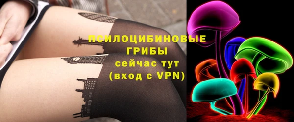 круглые Алзамай