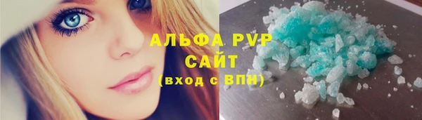 стаф Алексин
