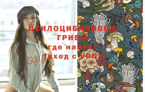 mix Абаза