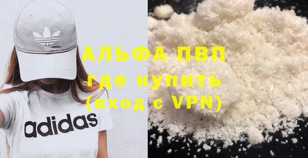 стаф Алексин