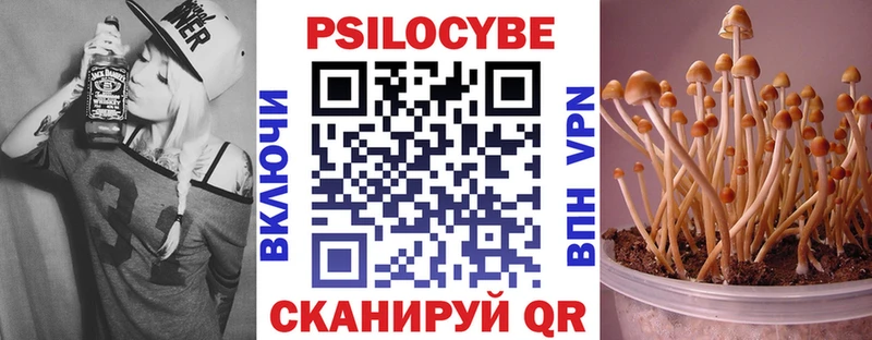 Псилоцибиновые грибы MAGIC MUSHROOMS  Чкаловск 